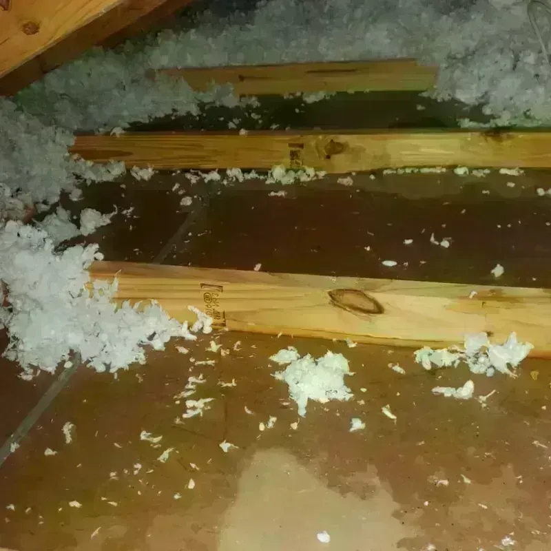 Attic Water Damage in University Park, IL