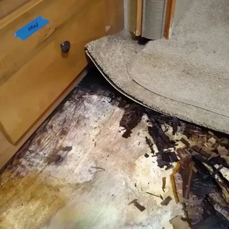 Wood Floor Water Damage in University Park, IL